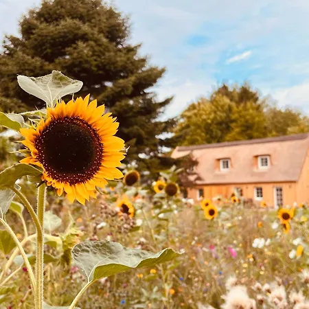 Apartament Reethaus M - Sommerhaus 54 Grodersby