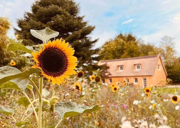 Apartament Reethaus M - Sommerhaus 54 Grodersby